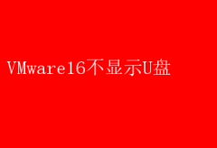 VMware16U޷ʾָ