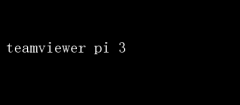 TeamViewerRaspberry Pi 3ʵսָ