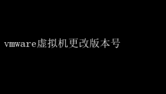 VMware汾ָ