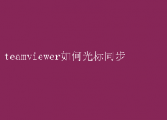 TeamViewerָͬ