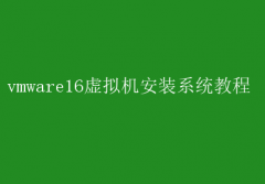 VMware 16ϵͳװʵٽ̳