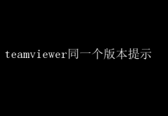 TeamViewerͬ汾ʾ