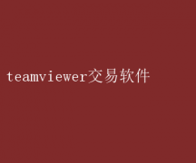 TeamViewerЧԶ̽ѡ
