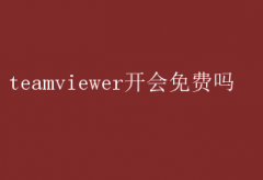 TeamViewerṦǷѽ