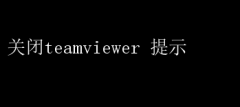 ȷرTeamViewerʾ