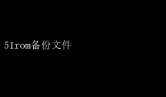 51ROMļɹݴ浵
