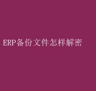 ERPļָ