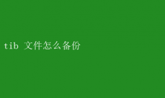 TIB文件高效备份技巧指南