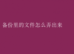 如何从备份中提取文件指南
