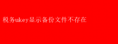 税务Ukey备份文件缺失，解决攻略来袭