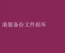 “港服备份文件损坏，数据恢复急救指南”