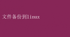 文件备份至Linux：高效数据安全策略
