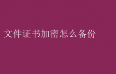 文件证书加密备份全攻略：确保数据安全无忧