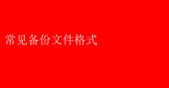 解析常见备份文件格式，数据守护必备