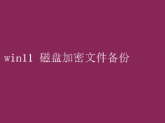 Win11磁盘加密文件备份指南