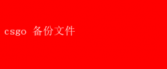CSGO玩家必备：高效备份文件指南