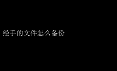 高效办公技巧：经手文件的全面备份策略与步骤