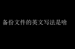“备份文件的英文表达及重要性”