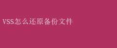 VSS备份文件还原步骤指南