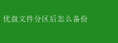 优盘分区后，高效备份文件指南